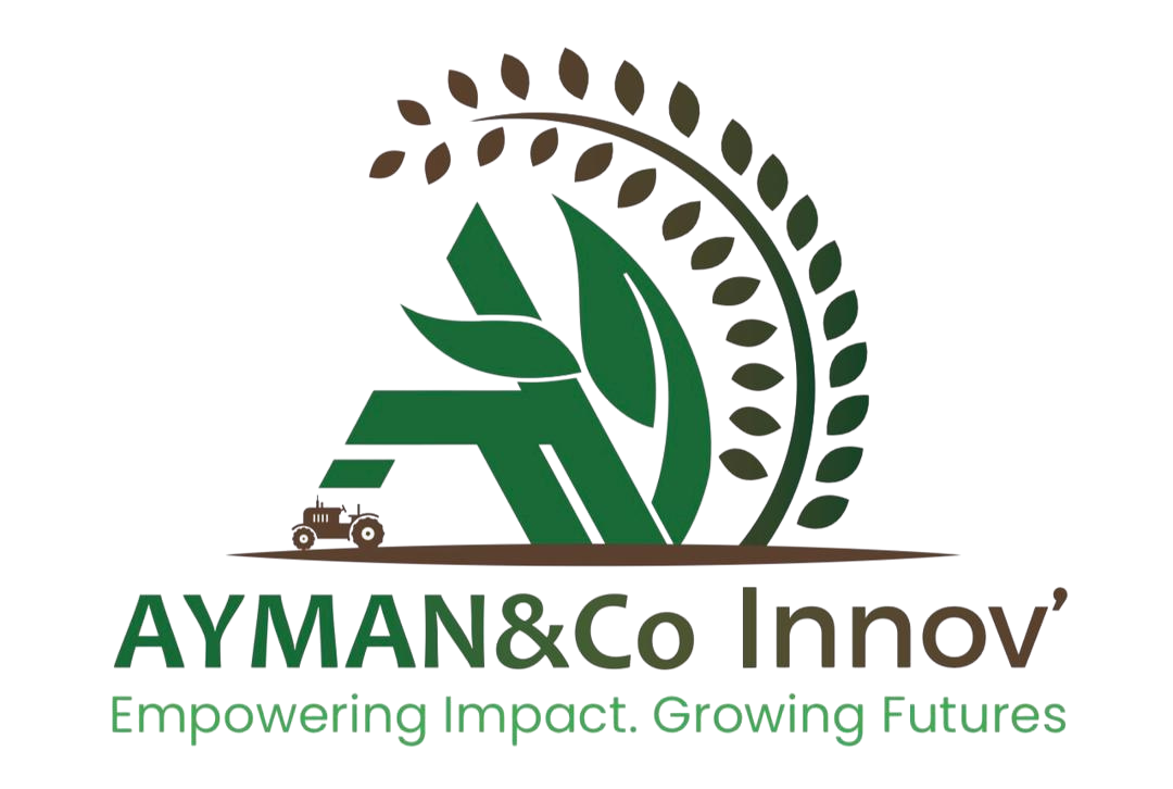 AYMAN&Co Innov' Logo
